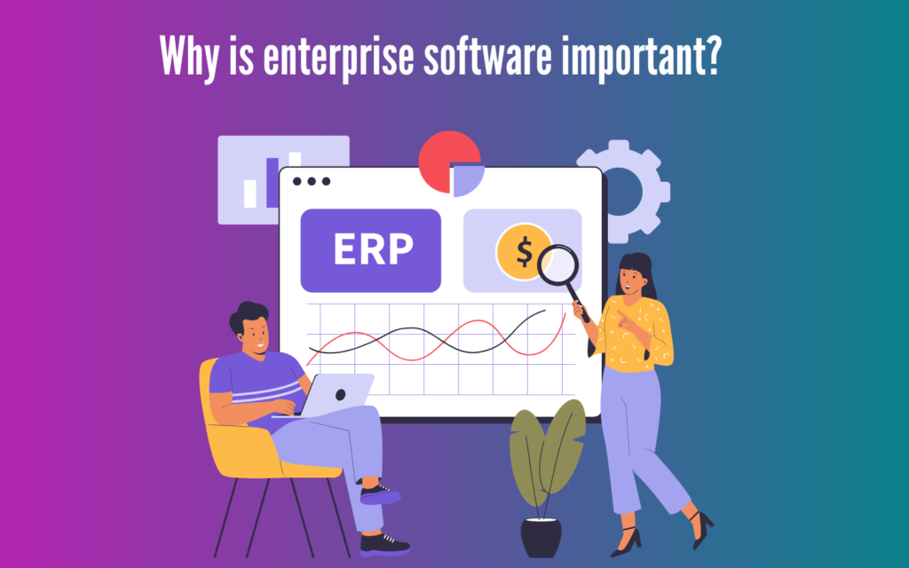 Why is enterprise software important?